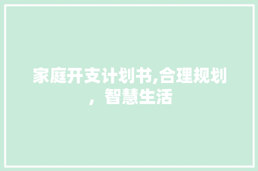 家庭开支计划书,合理规划，智慧生活