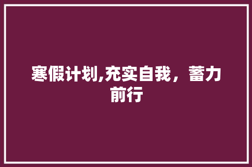 寒假计划,充实自我，蓄力前行