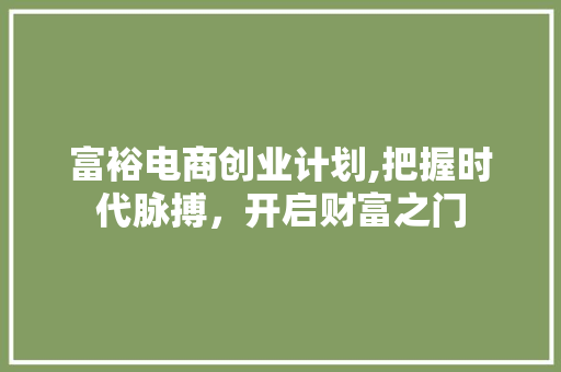 富裕电商创业计划,把握时代脉搏，开启财富之门