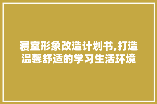 寝室形象改造计划书,打造温馨舒适的学习生活环境