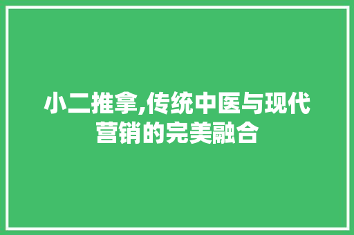 小二推拿,传统中医与现代营销的完美融合