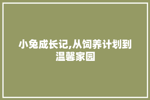 小兔成长记,从饲养计划到温馨家园