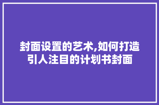 封面设置的艺术,如何打造引人注目的计划书封面