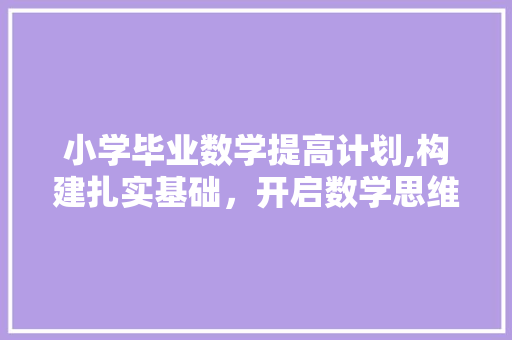 小学毕业数学提高计划,构建扎实基础，开启数学思维之旅