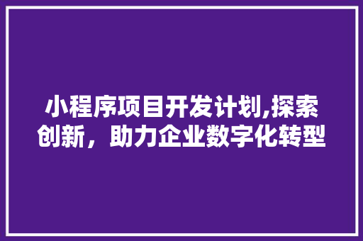 小程序项目开发计划,探索创新，助力企业数字化转型