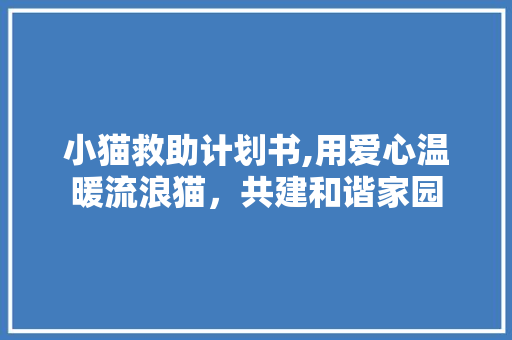 小猫救助计划书,用爱心温暖流浪猫，共建和谐家园