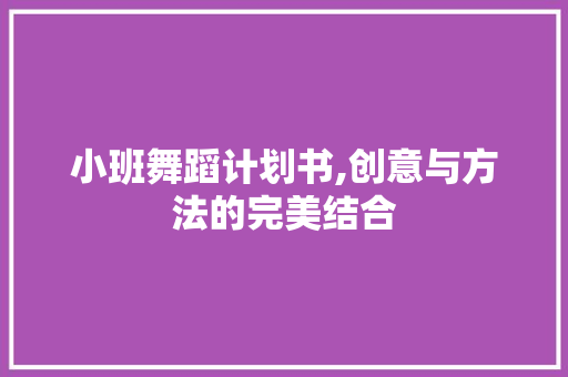 小班舞蹈计划书,创意与方法的完美结合