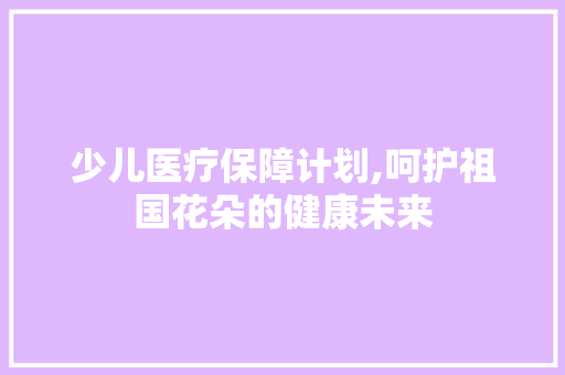 少儿医疗保障计划,呵护祖国花朵的健康未来