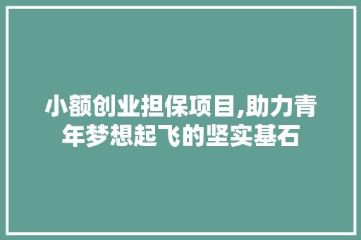 小额创业担保项目,助力青年梦想起飞的坚实基石