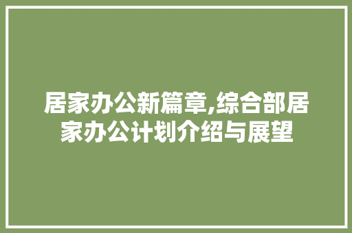 居家办公新篇章,综合部居家办公计划介绍与展望