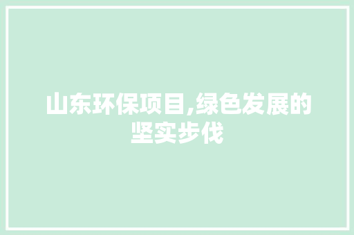 山东环保项目,绿色发展的坚实步伐