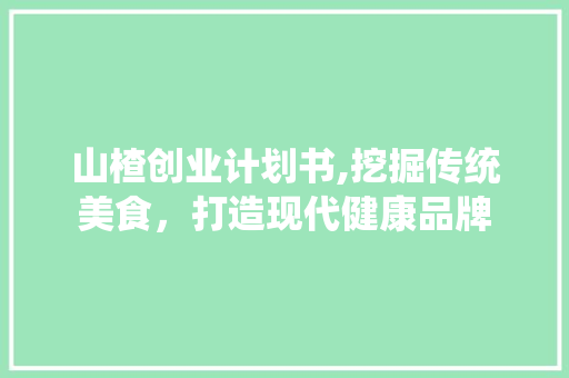 山楂创业计划书,挖掘传统美食，打造现代健康品牌