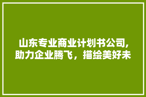 山东专业商业计划书公司,助力企业腾飞，描绘美好未来