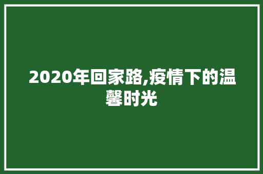 2020年回家路,疫情下的温馨时光