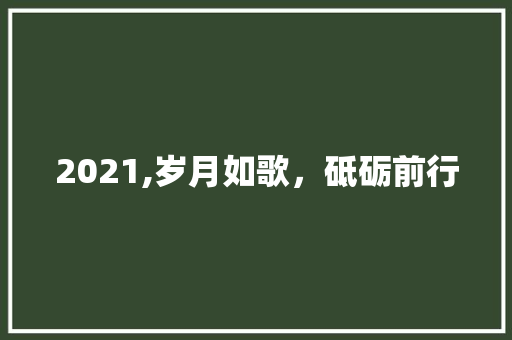 2021,岁月如歌，砥砺前行