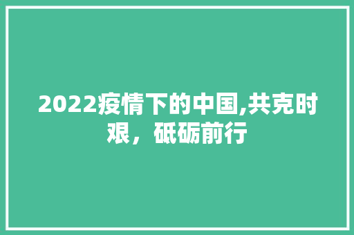 2022疫情下的中国,共克时艰，砥砺前行