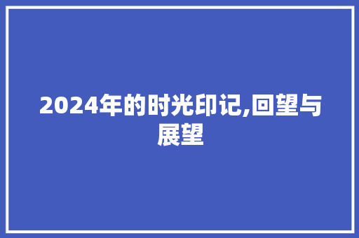 2024年的时光印记,回望与展望