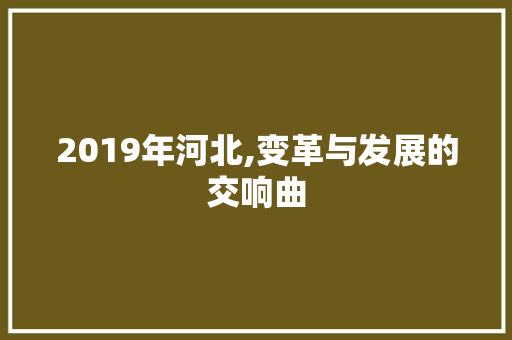 2019年河北,变革与发展的交响曲