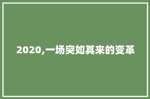 2020,一场突如其来的变革