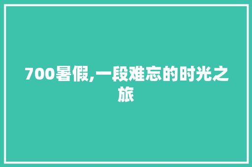 700暑假,一段难忘的时光之旅