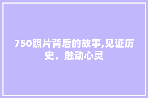 750照片背后的故事,见证历史，触动心灵