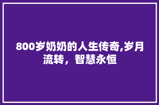 800岁奶奶的人生传奇,岁月流转，智慧永恒