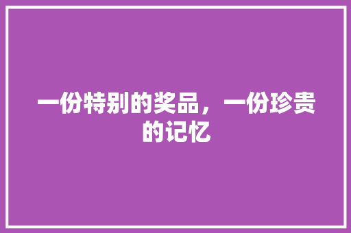 一份特别的奖品，一份珍贵的记忆