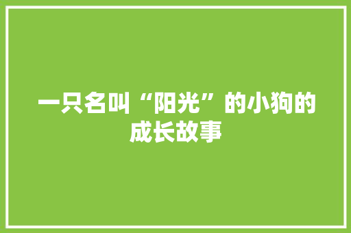 一只名叫“阳光”的小狗的成长故事