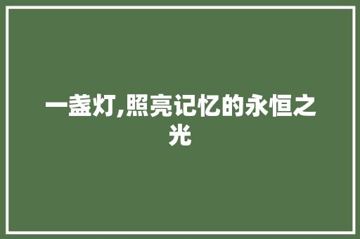 一盏灯,照亮记忆的永恒之光