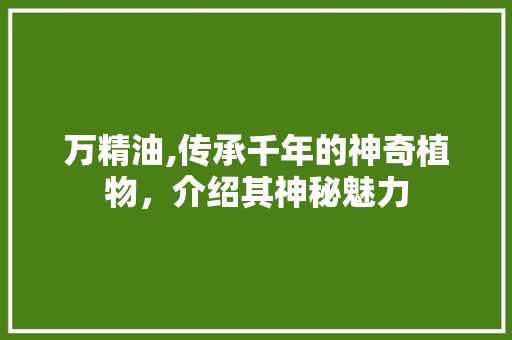 万精油,传承千年的神奇植物，介绍其神秘魅力