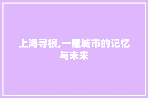 上海寻根,一座城市的记忆与未来