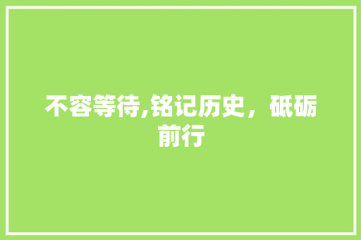 不容等待,铭记历史，砥砺前行