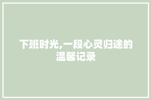 下班时光,一段心灵归途的温馨记录