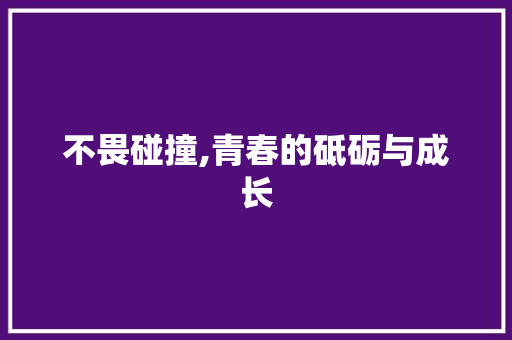 不畏碰撞,青春的砥砺与成长 会议纪要范文