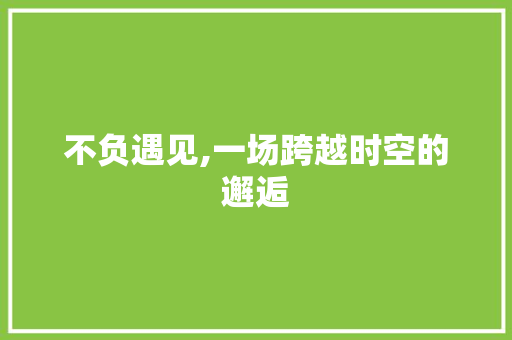 不负遇见,一场跨越时空的邂逅