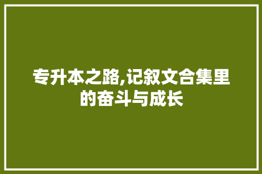 专升本之路,记叙文合集里的奋斗与成长