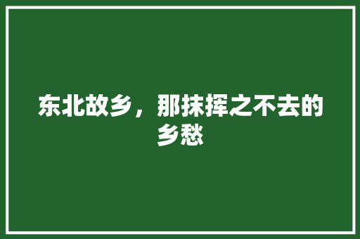 东北故乡，那抹挥之不去的乡愁