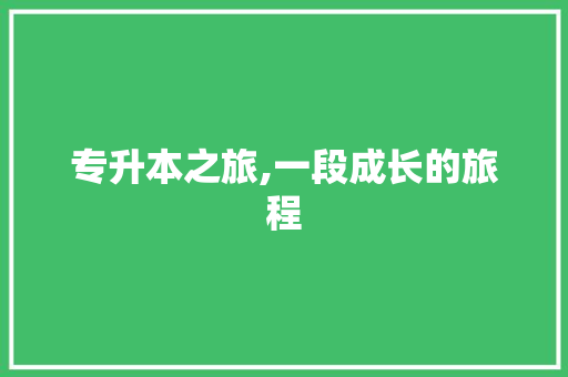 专升本之旅,一段成长的旅程