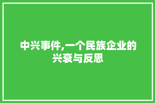 中兴事件,一个民族企业的兴衰与反思