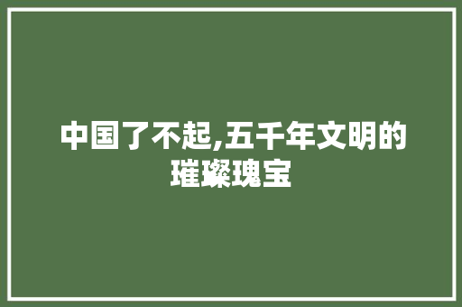 中国了不起,五千年文明的璀璨瑰宝