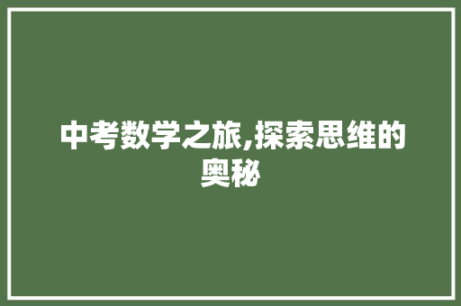 中考数学之旅,探索思维的奥秘