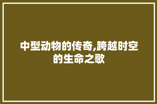 中型动物的传奇,跨越时空的生命之歌