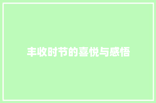 丰收时节的喜悦与感悟