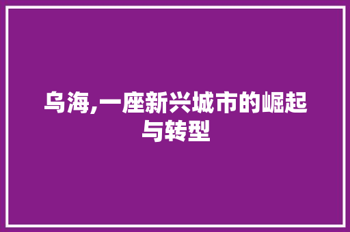 乌海,一座新兴城市的崛起与转型