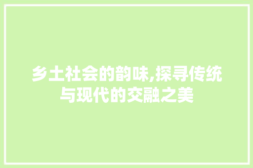 乡土社会的韵味,探寻传统与现代的交融之美