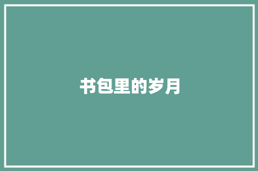 书包里的岁月