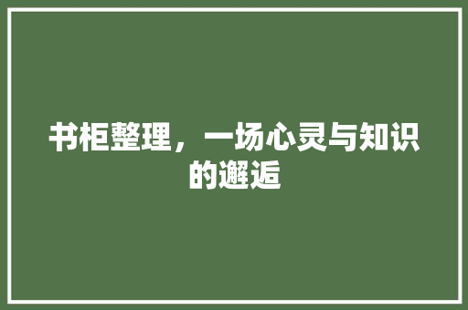 书柜整理，一场心灵与知识的邂逅