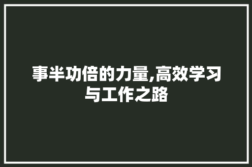 事半功倍的力量,高效学习与工作之路