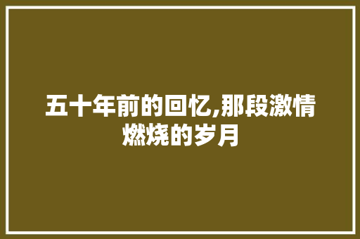 五十年前的回忆,那段激情燃烧的岁月