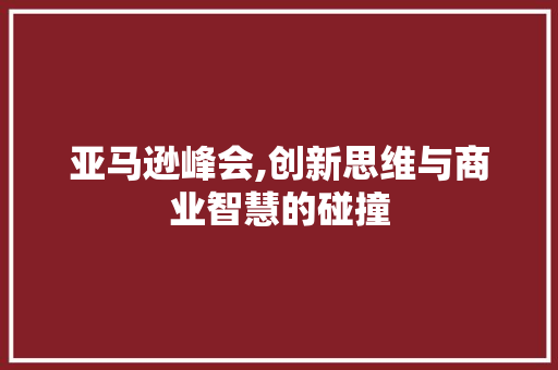 亚马逊峰会,创新思维与商业智慧的碰撞